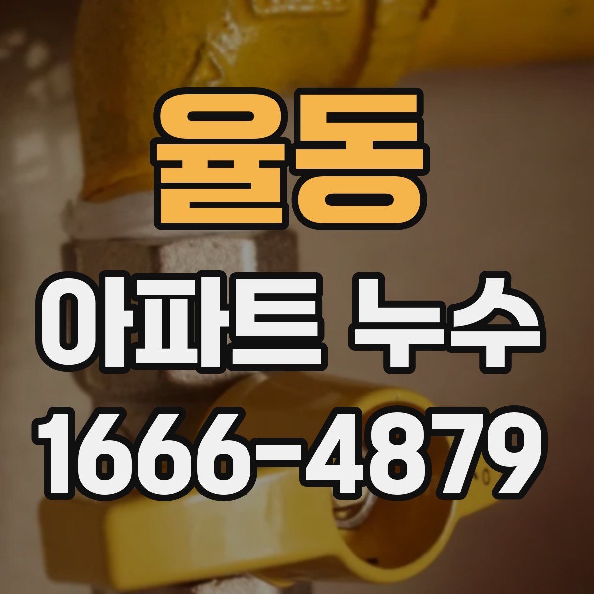 율동 아파트 누수