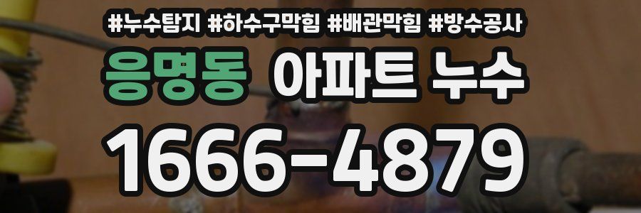응명동 아파트 누수