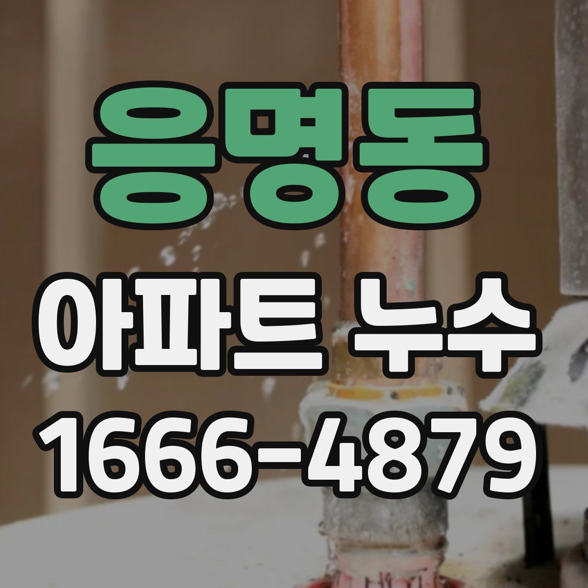 응명동 아파트 누수