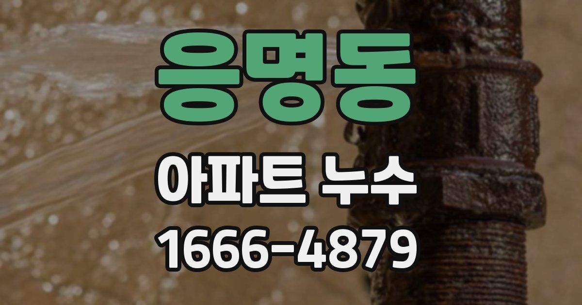 응명동 아파트 누수