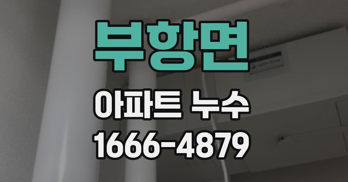 부항면 아파트 누수