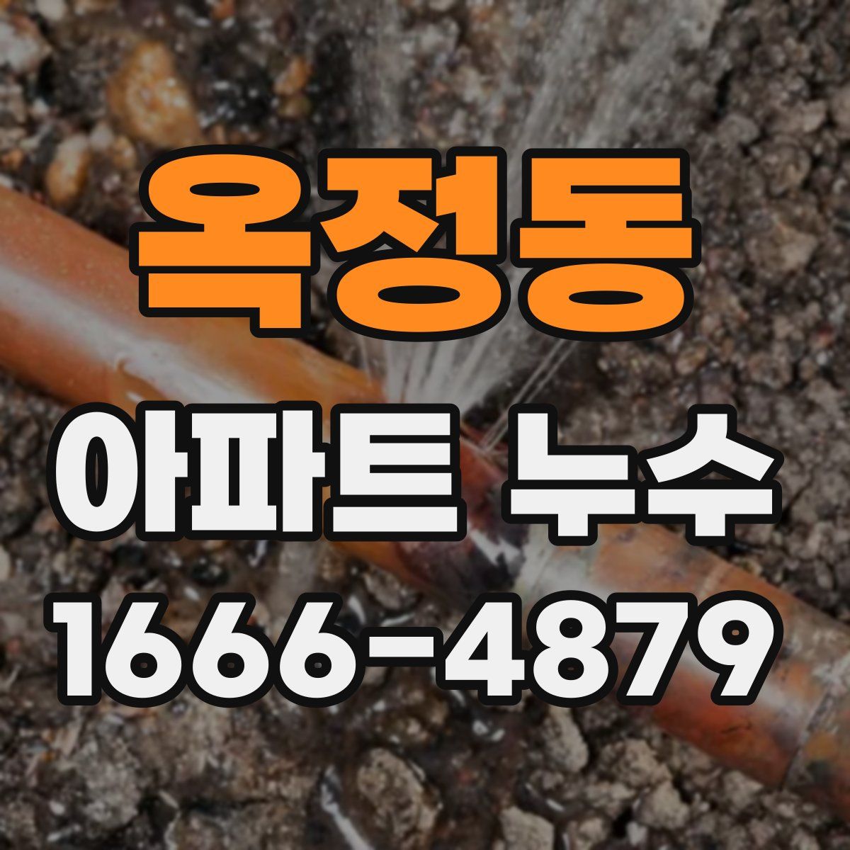 옥정동 아파트 누수