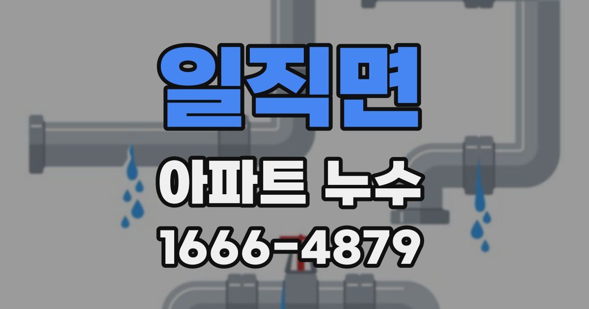 일직면 아파트 누수
