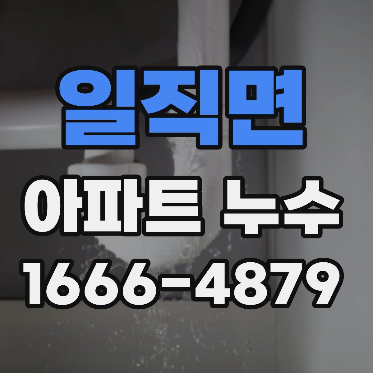 일직면 아파트 누수