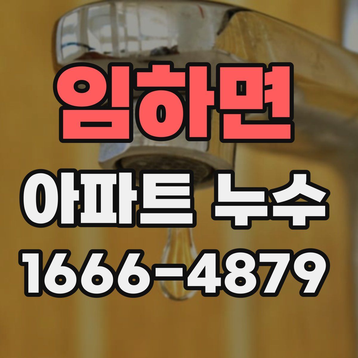 임하면 아파트 누수