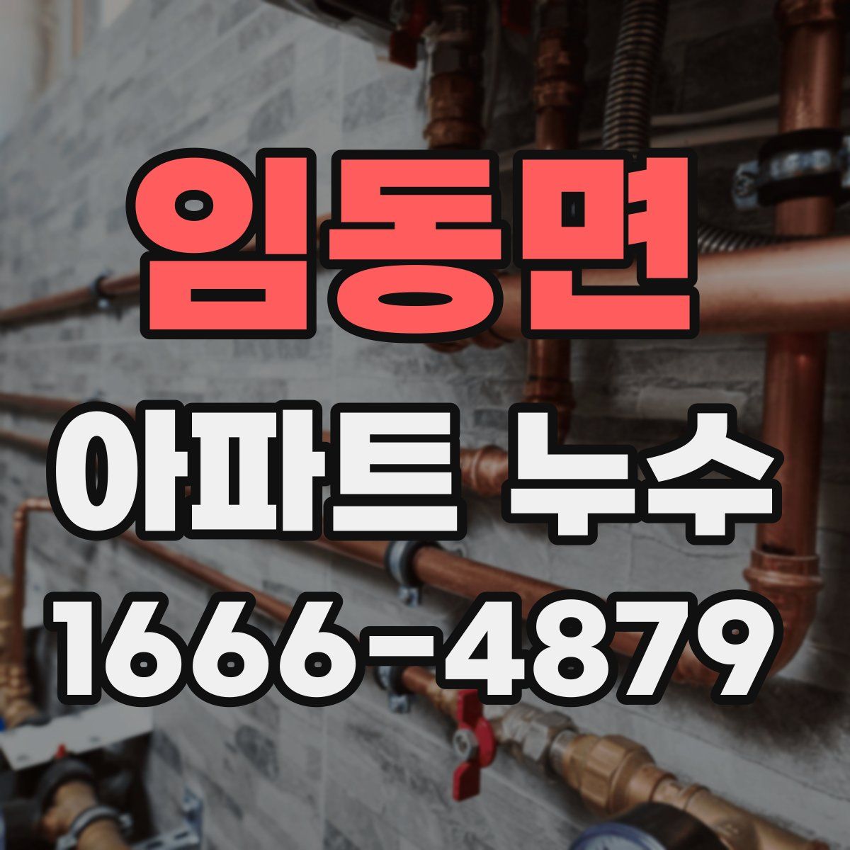 임동면 아파트 누수