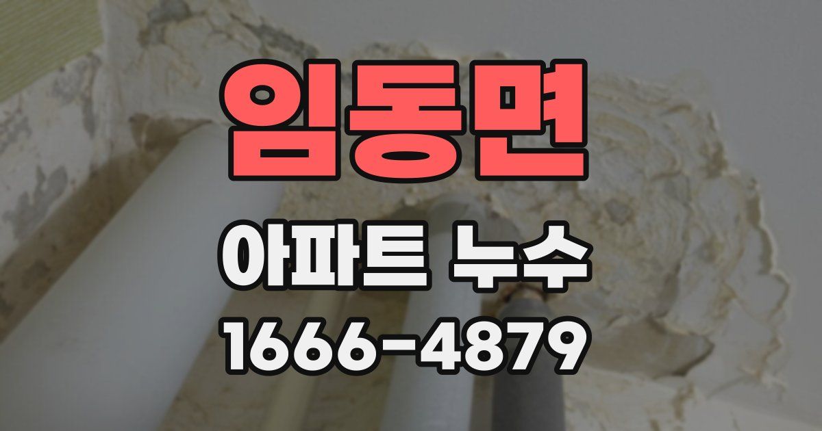 임동면 아파트 누수