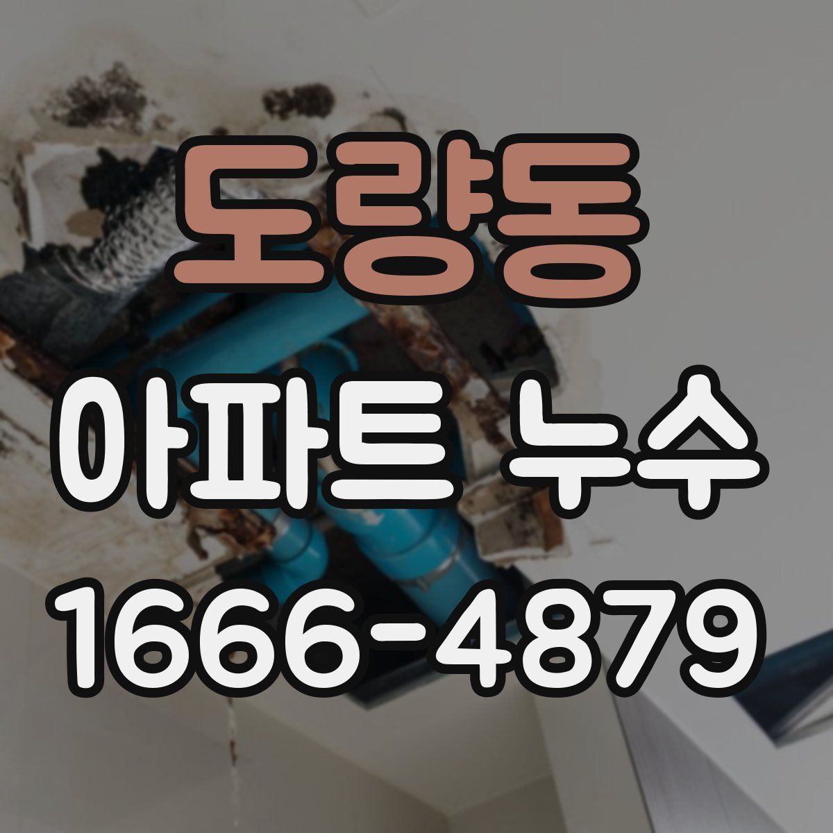 도량동 아파트 누수