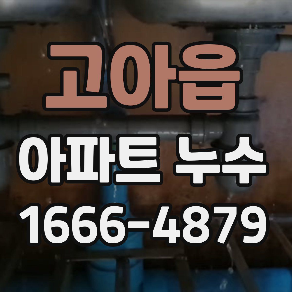 고아읍 아파트 누수