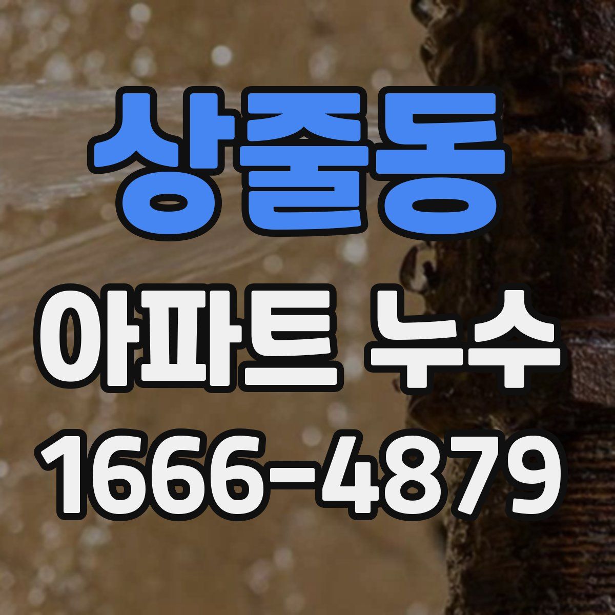상줄동 아파트 누수