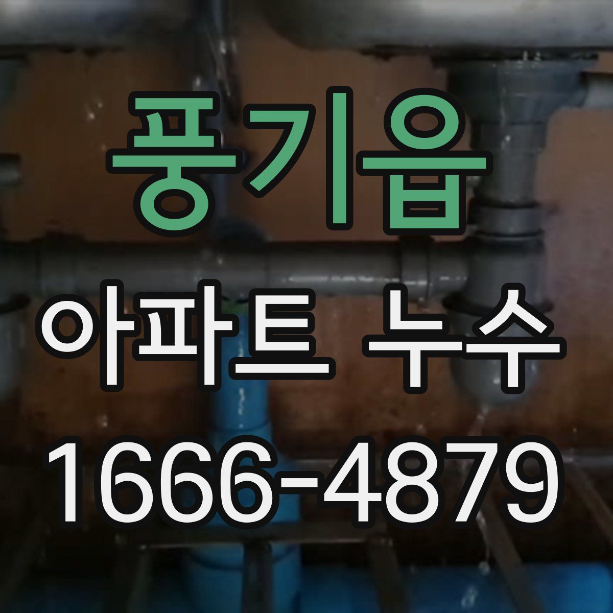 풍기읍 아파트 누수