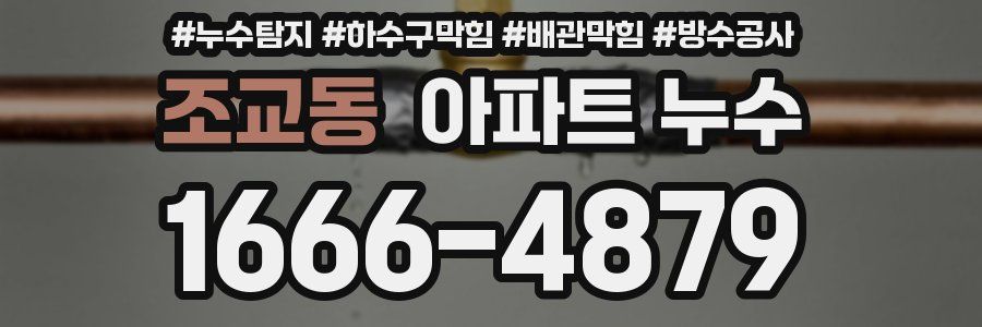 조교동 아파트 누수