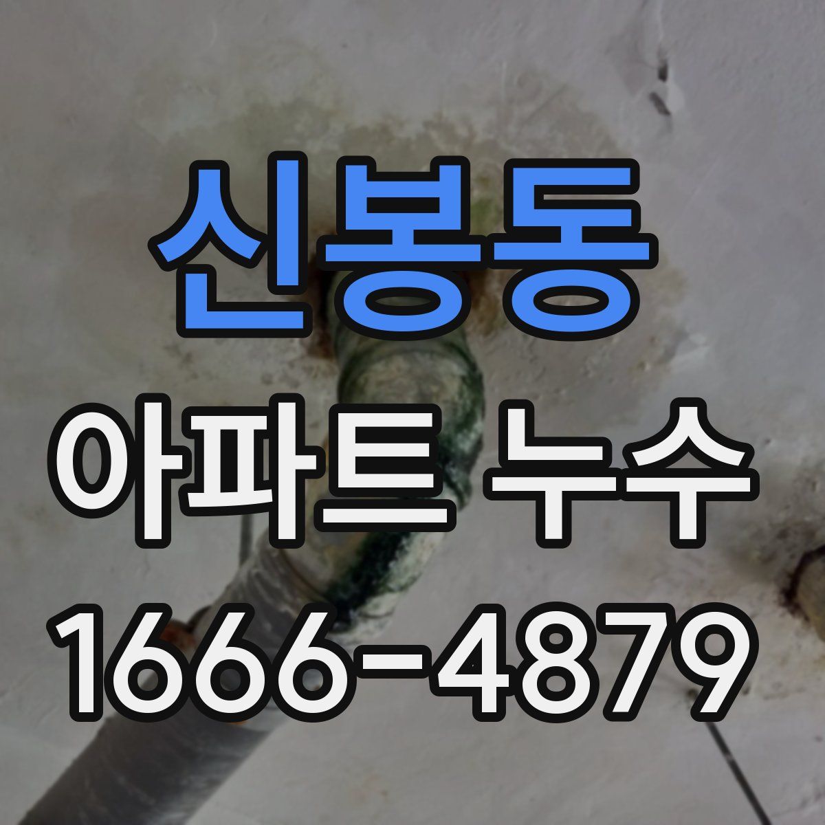 신봉동 아파트 누수