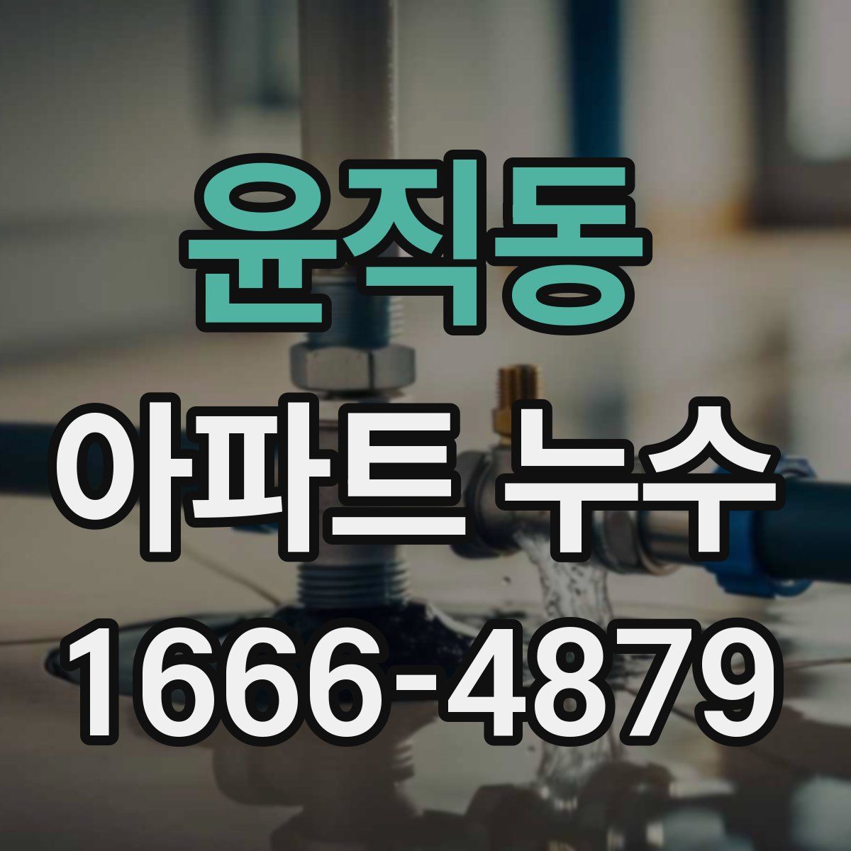 윤직동 아파트 누수