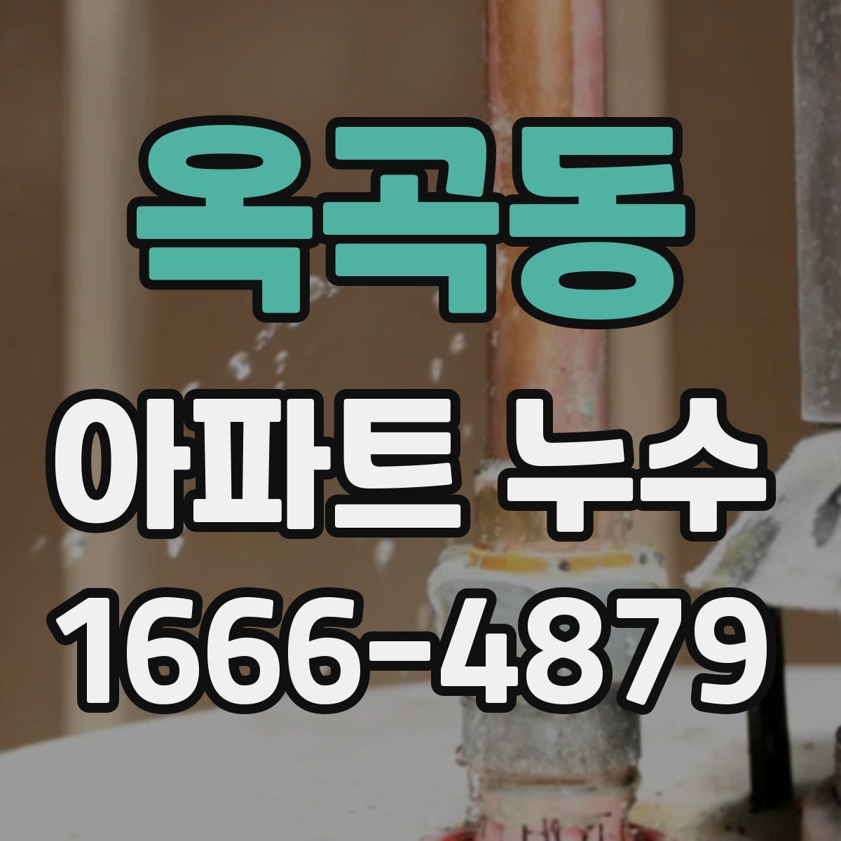 옥곡동 아파트 누수