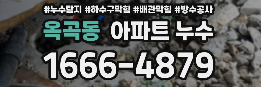 옥곡동 아파트 누수