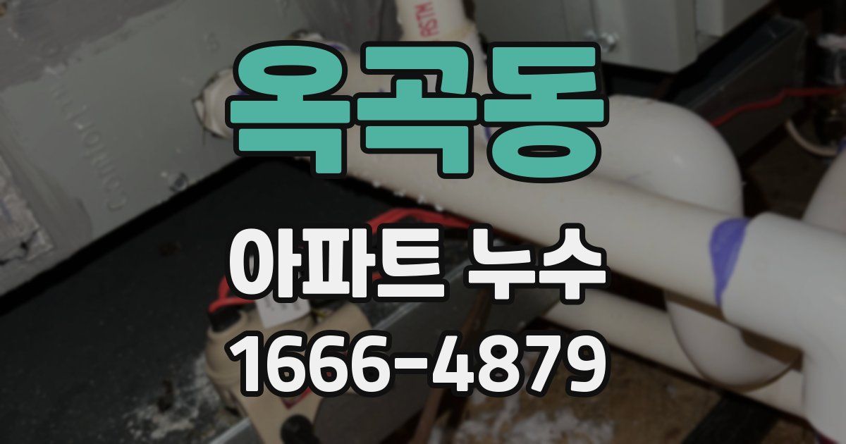 옥곡동 아파트 누수