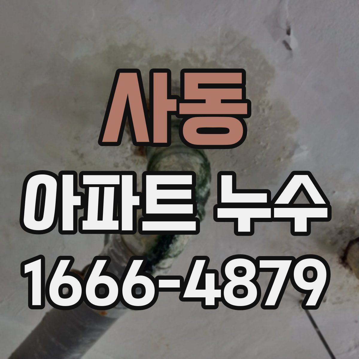 사동 아파트 누수