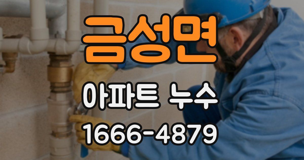 금성면 아파트 누수