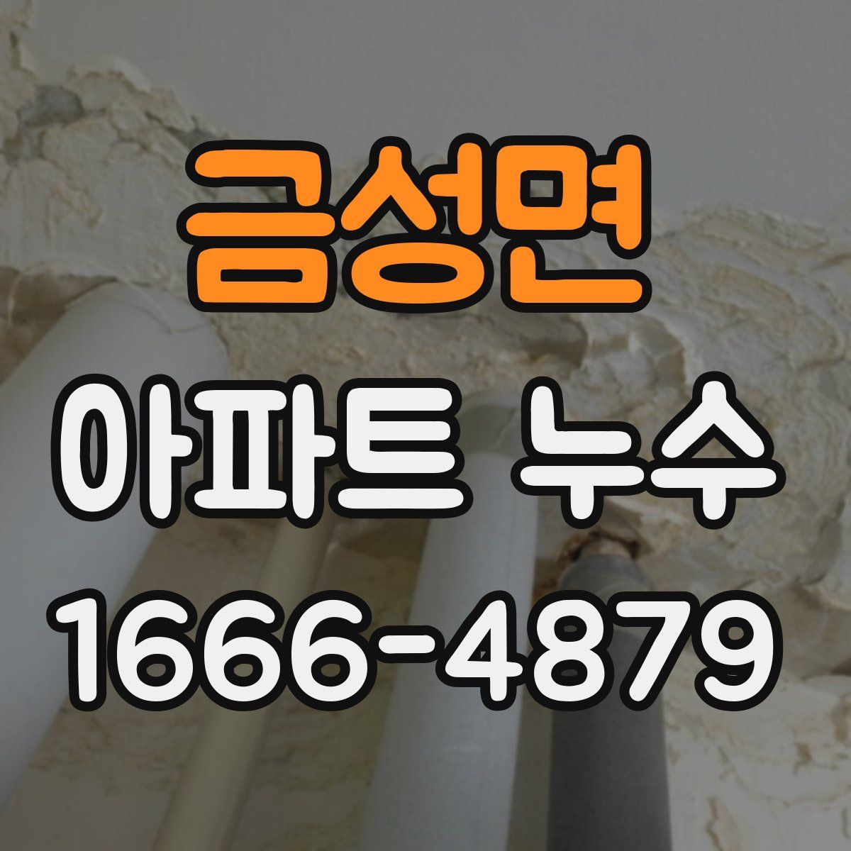 금성면 아파트 누수