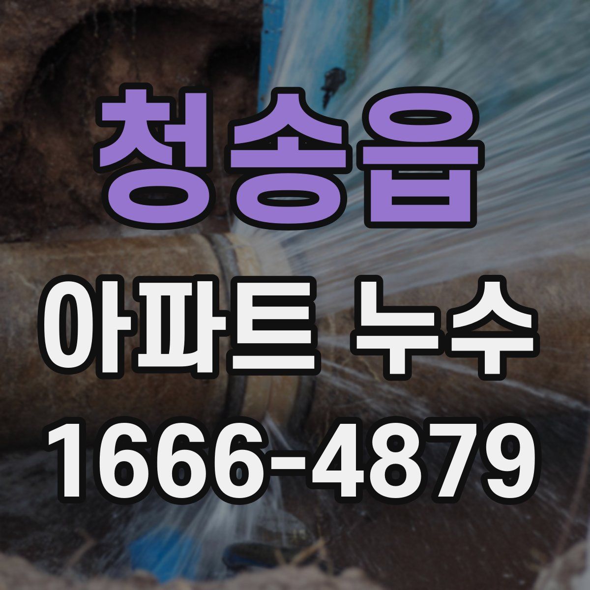 청송읍 아파트 누수