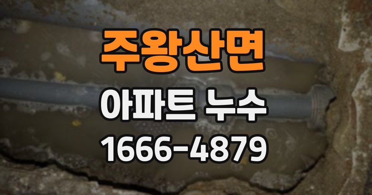 주왕산면 아파트 누수