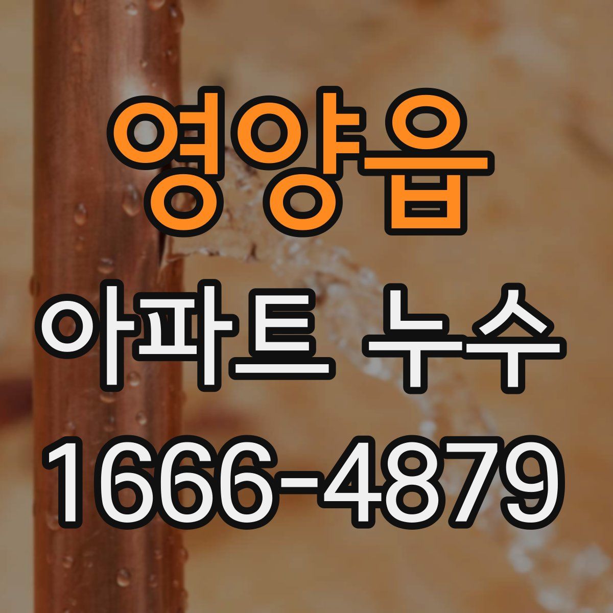 영양읍 아파트 누수