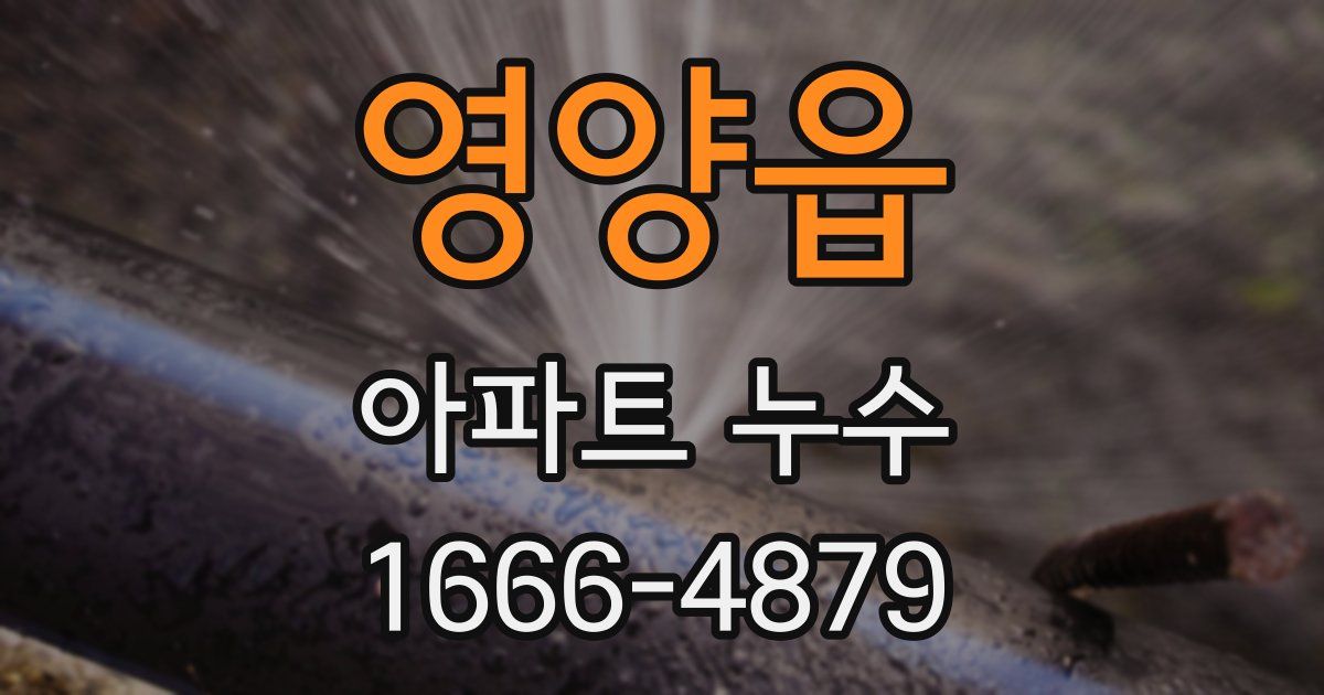 영양읍 아파트 누수