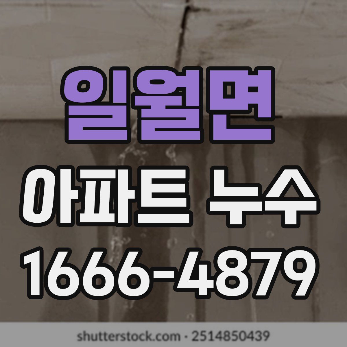 일월면 아파트 누수