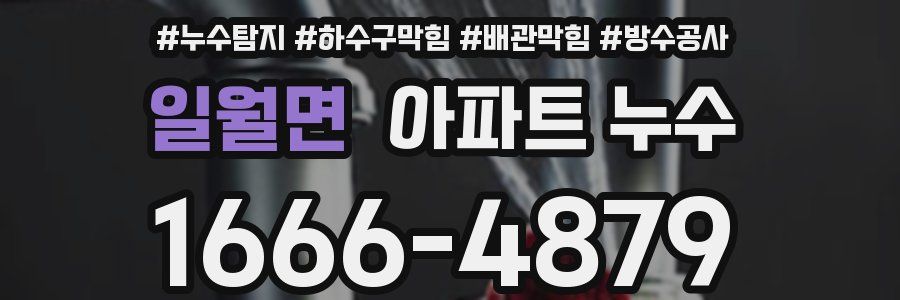 일월면 아파트 누수