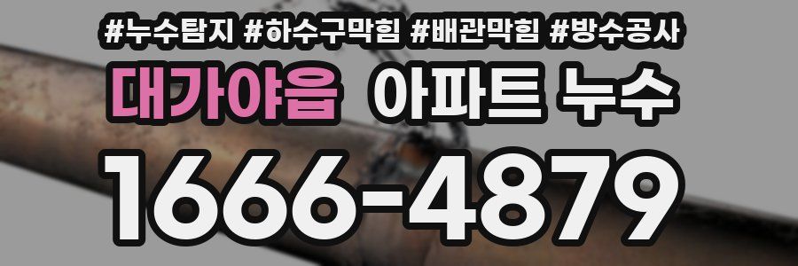 대가야읍 아파트 누수