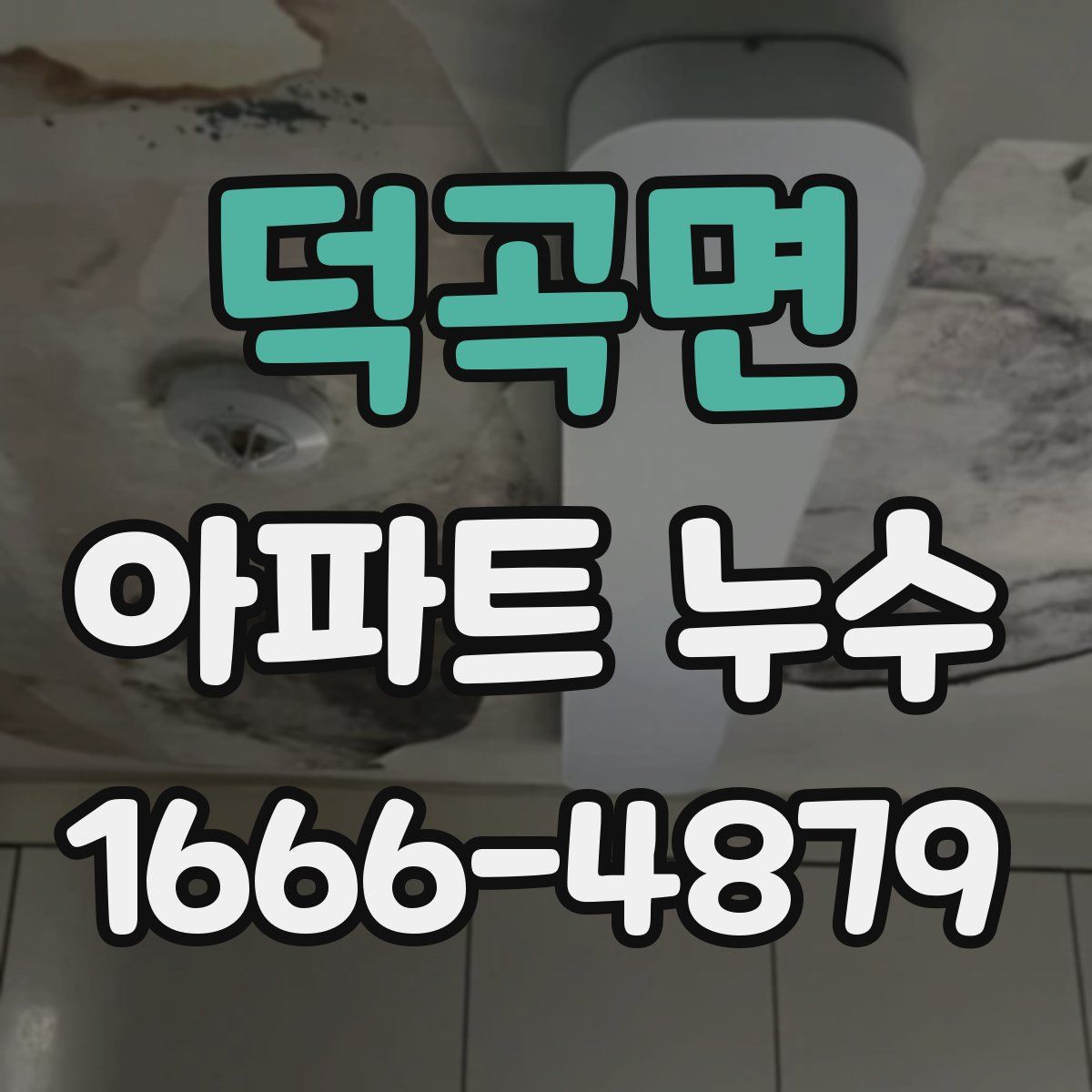 덕곡면 아파트 누수