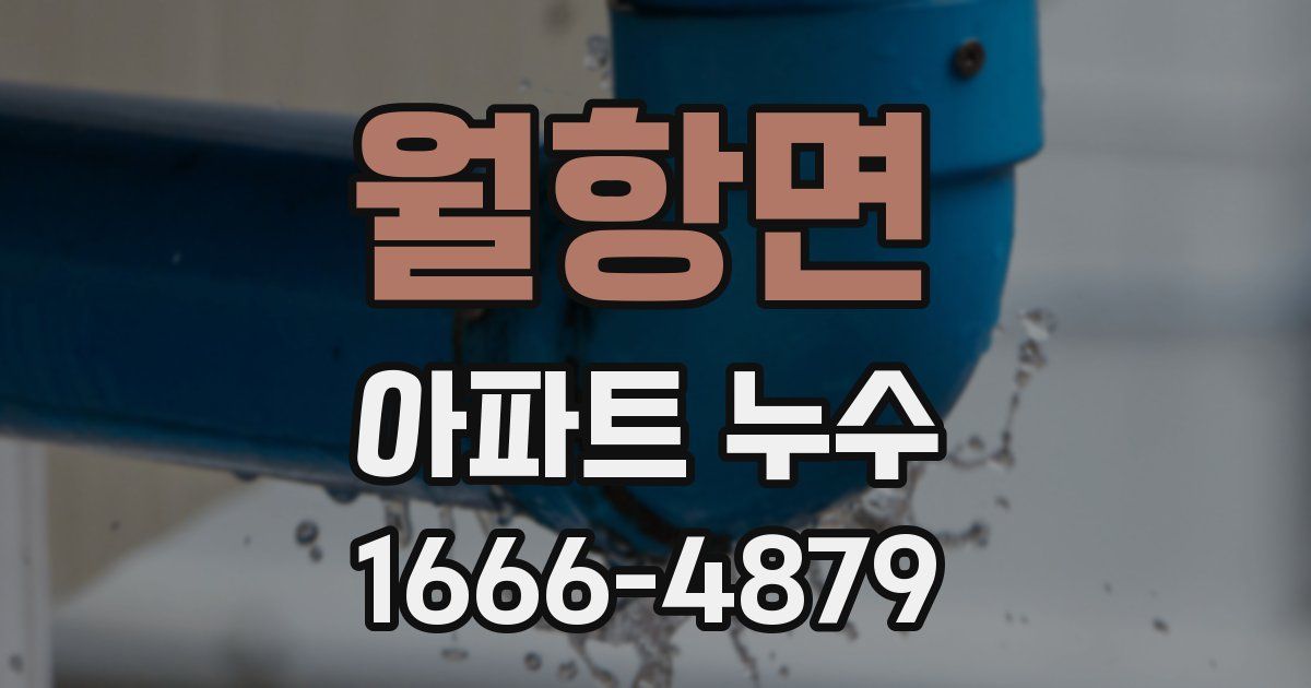 월항면 아파트 누수