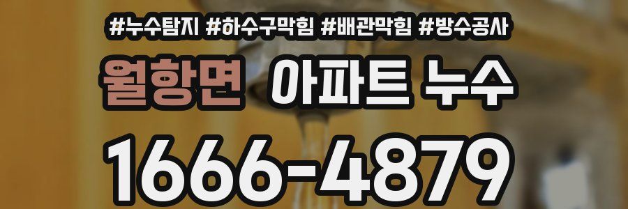 월항면 아파트 누수