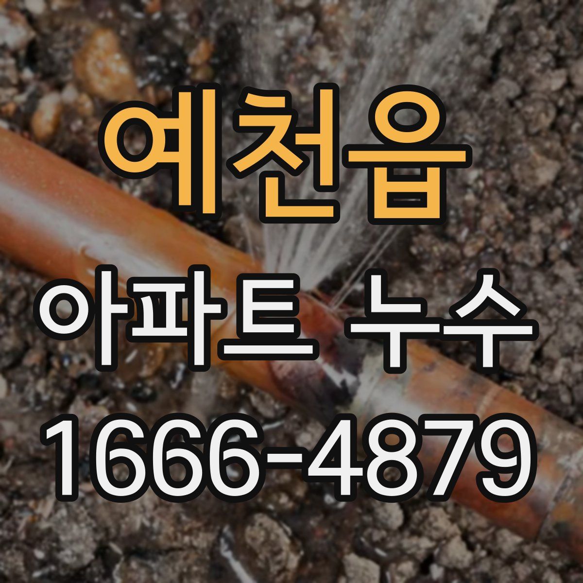 예천읍 아파트 누수