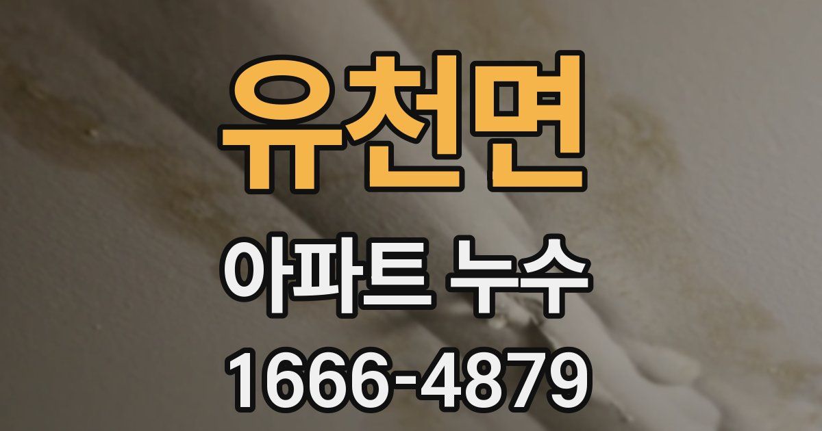 유천면 아파트 누수