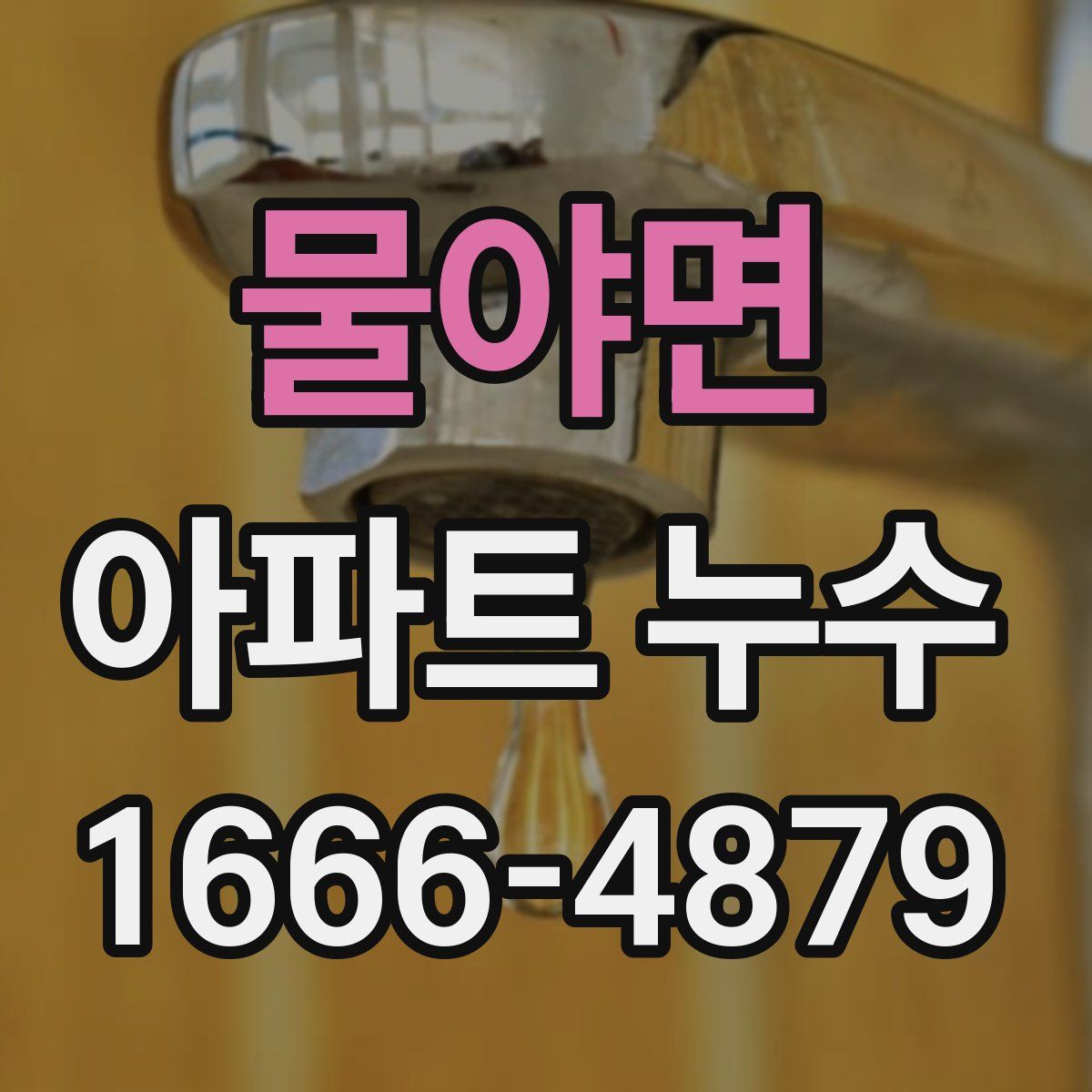 물야면 아파트 누수