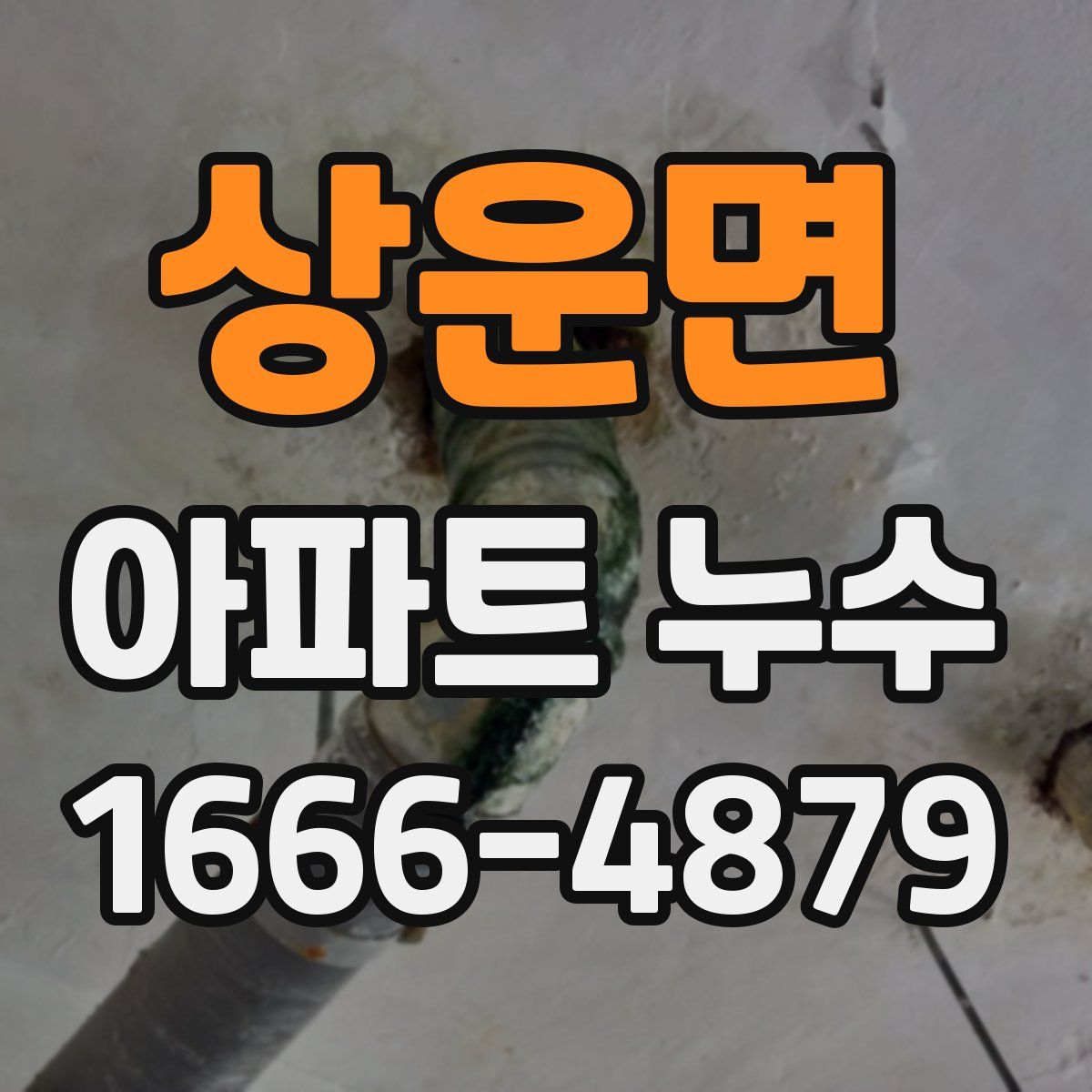 상운면 아파트 누수