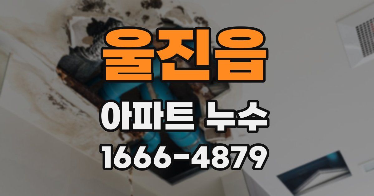울진읍 아파트 누수