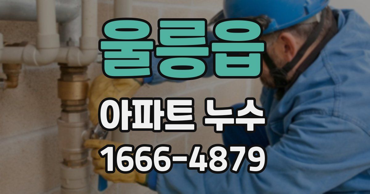 울릉읍 아파트 누수