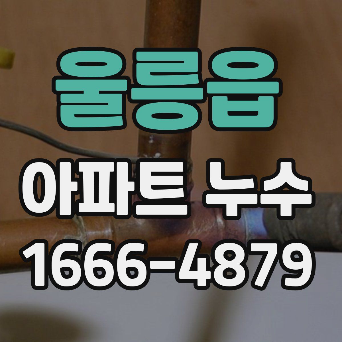 울릉읍 아파트 누수