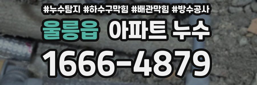 울릉읍 아파트 누수