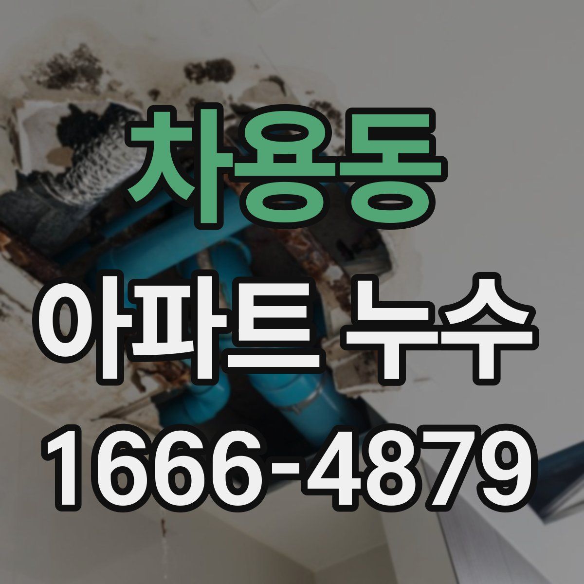차용동 아파트 누수