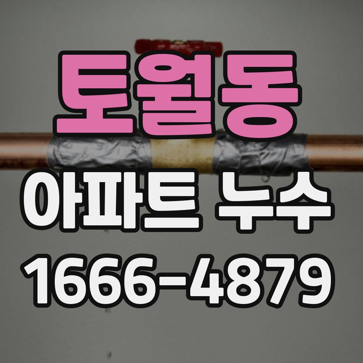 토월동 아파트 누수