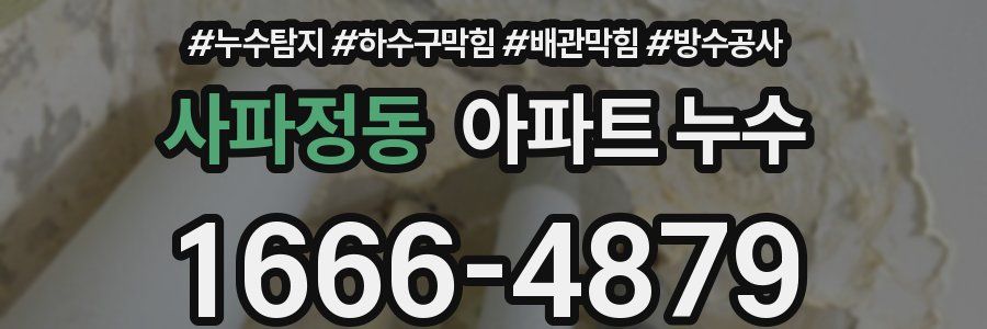 사파정동 아파트 누수