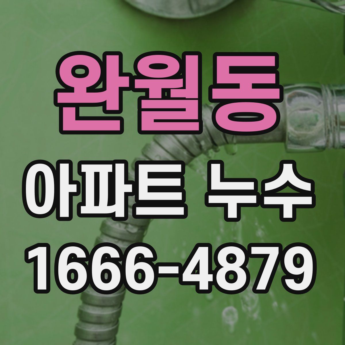완월동 아파트 누수