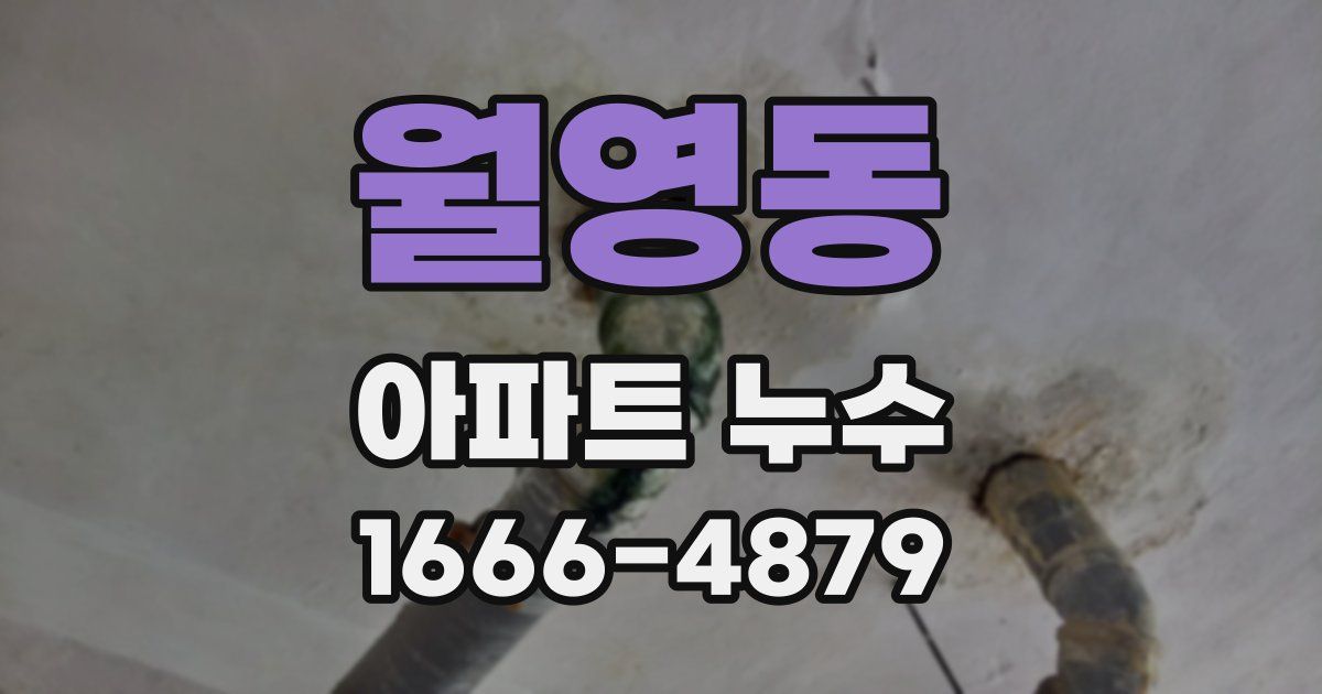 월영동 아파트 누수