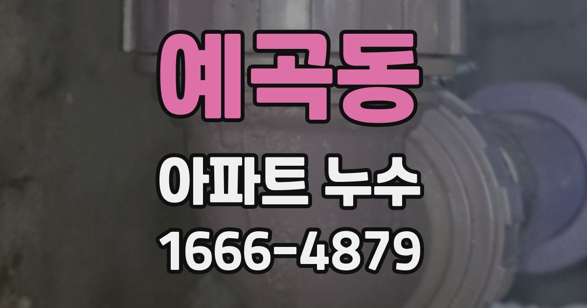 예곡동 아파트 누수
