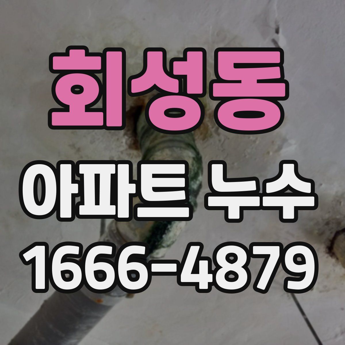 회성동 아파트 누수