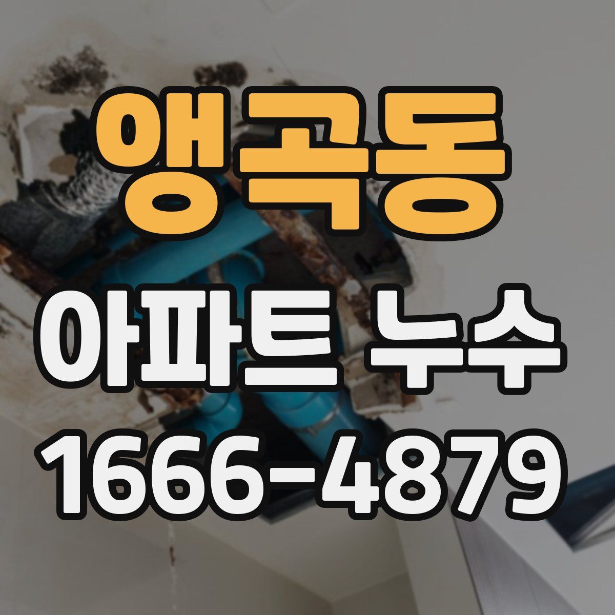 앵곡동 아파트 누수